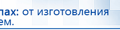 ДЭНАС - Аппликатор купить в Белово, Электроды Дэнас купить в Белово, Дэнас официальный сайт denasdoctor.ru
